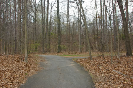 An asphalt trail intersects from the right from Sunrise Valley School. Continue straight on the present trail.
