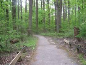 Notice the guard rails on either side of the trail for a short distance.