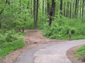 The asphalt trail turns at an intersection with a natural surface trail. Turn left to follow the natural surface trail. A sign at the trail intersection will mark the direction to the nature center.