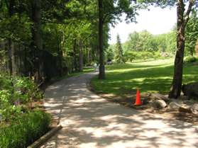 The boardwalk turns to the left and merges with a paved service trail. Continue in the same direction along the service trail. You are now inside Brookside Gardens.